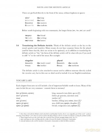 Basics of Sahidic Coptic | Softcover: A Complete Grammar with Exercises, Readings, and Lexicon (Zondervan Language Basics Series) - Josiah A. Chappell [KSIĄŻKA]