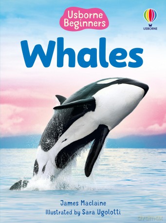 Beginners Whales - James Maclaine [KSIĄŻKA]
