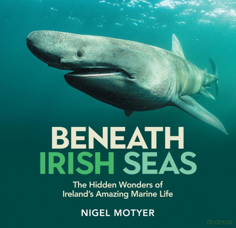 Beneath Irish Seas: The Hidden Wonders of Ireland's Amazing Marine Life - Nigel Motyer [KSIĄŻKA]