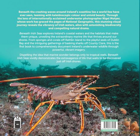 Beneath Irish Seas: The Hidden Wonders of Ireland's Amazing Marine Life - Nigel Motyer [KSIĄŻKA]