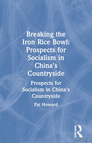 Beyond Welfare - Pat Howard [KSIĄŻKA]
