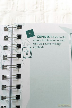 Bible Study Collective: Verse Mapping Journal: A Visual Bible Study Guide - Compiled by Barbour Staff [KSIĄŻKA]
