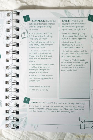 Bible Study Collective: Verse Mapping Journal: A Visual Bible Study Guide - Compiled by Barbour Staff [KSIĄŻKA]