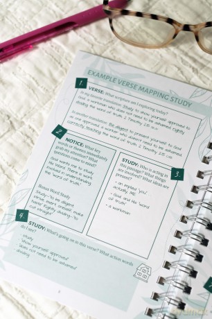 Bible Study Collective: Verse Mapping Journal: A Visual Bible Study Guide - Compiled by Barbour Staff [KSIĄŻKA]