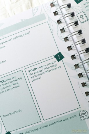 Bible Study Collective: Verse Mapping Journal: A Visual Bible Study Guide - Compiled by Barbour Staff [KSIĄŻKA]
