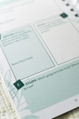 Bible Study Collective: Verse Mapping Journal: A Visual Bible Study Guide - Compiled by Barbour Staff [KSIĄŻKA]
