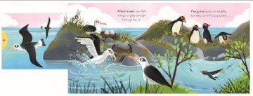 Big Outdoors for Little Explorers: Birds - Nosy Crow Ltd [KSIĄŻKA]