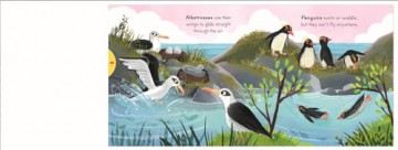 Big Outdoors for Little Explorers: Birds - Nosy Crow Ltd [KSIĄŻKA]