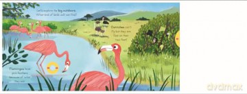 Big Outdoors for Little Explorers: Birds - Nosy Crow Ltd [KSIĄŻKA]