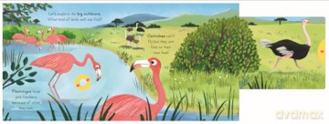 Big Outdoors for Little Explorers: Birds - Nosy Crow Ltd [KSIĄŻKA]