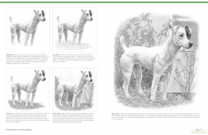 Big School of Drawing Animals: Well-explained, practice-oriented drawing instruction for the beginning artist - Walter Foster Creative Team [KSIĄŻKA]