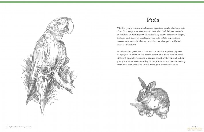 Big School of Drawing Animals: Well-explained, practice-oriented drawing instruction for the beginning artist - Walter Foster Creative Team [KSIĄŻKA]