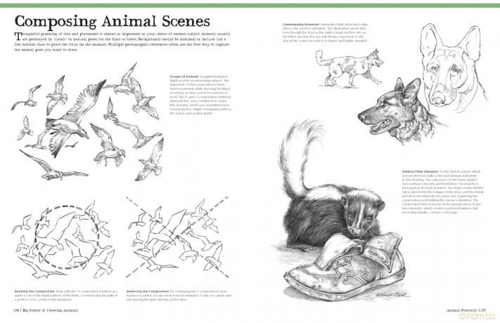 Big School of Drawing Animals: Well-explained, practice-oriented drawing instruction for the beginning artist - Walter Foster Creative Team [KSIĄŻKA]