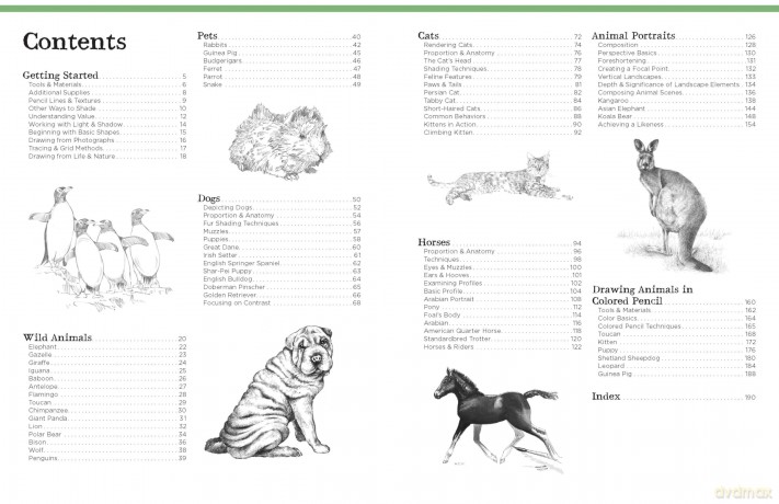 Big School of Drawing Animals: Well-explained, practice-oriented drawing instruction for the beginning artist - Walter Foster Creative Team [KSIĄŻKA]