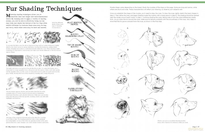 Big School of Drawing Animals: Well-explained, practice-oriented drawing instruction for the beginning artist - Walter Foster Creative Team [KSIĄŻKA]
