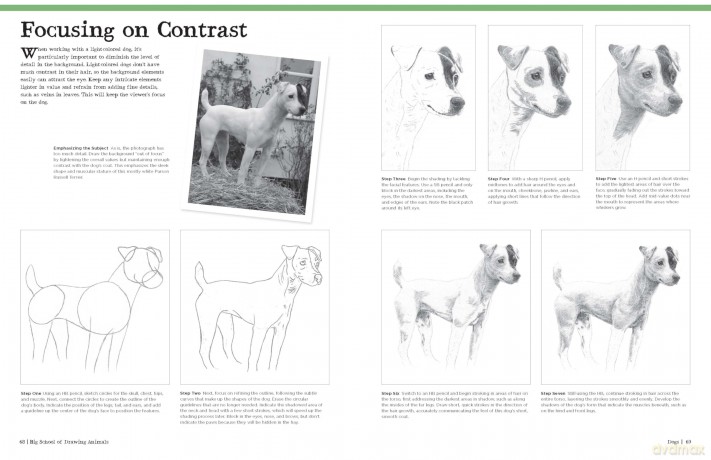 Big School of Drawing Animals: Well-explained, practice-oriented drawing instruction for the beginning artist - Walter Foster Creative Team [KSIĄŻKA]