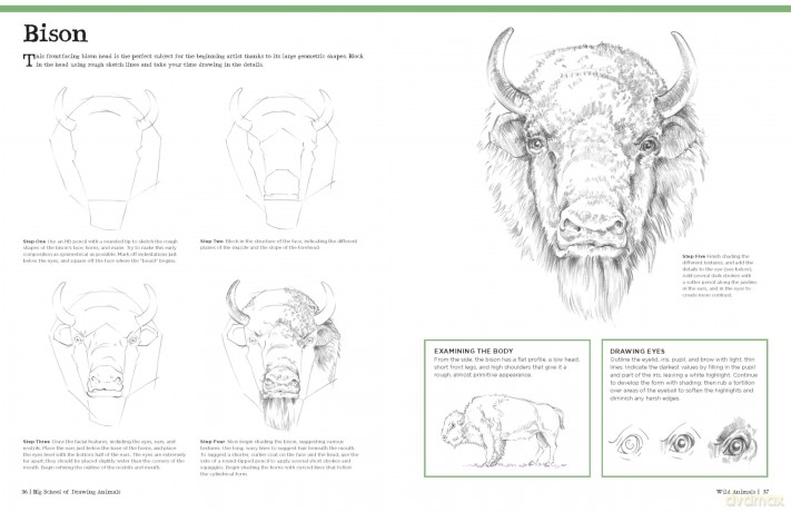 Big School of Drawing Animals: Well-explained, practice-oriented drawing instruction for the beginning artist - Walter Foster Creative Team [KSIĄŻKA]