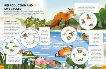 Biology for Young Scientists (Your Expert Guide) - Tom Jackson [KSIĄŻKA]
