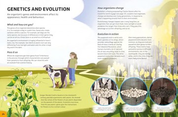 Biology for Young Scientists (Your Expert Guide) - Tom Jackson [KSIĄŻKA]