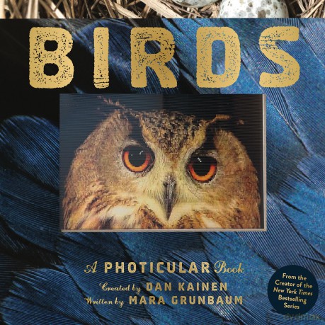 Birds: A Photicular Book - Dan Kainen [KSIĄŻKA]