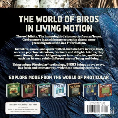 Birds: A Photicular Book - Dan Kainen [KSIĄŻKA]
