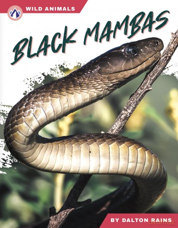 Black Mambas (Wild Animals Set 2) - Dalton Rains [KSIĄŻKA]