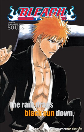 Bleach SOULs. Official Character Book - Tite Kubo [KOMIKS]