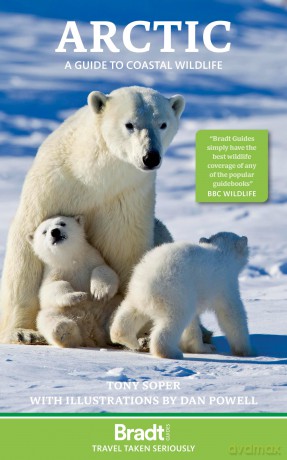 Bradt Arctic (Travel Guide): a guide to coastal wildlife - Tony Soper [KSIĄŻKA]