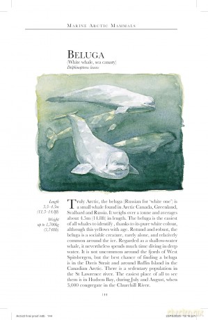 Bradt Arctic (Travel Guide): a guide to coastal wildlife - Tony Soper [KSIĄŻKA]