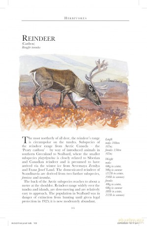 Bradt Arctic (Travel Guide): a guide to coastal wildlife - Tony Soper [KSIĄŻKA]