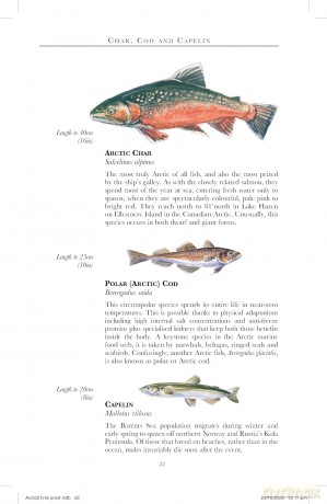 Bradt Arctic (Travel Guide): a guide to coastal wildlife - Tony Soper [KSIĄŻKA]