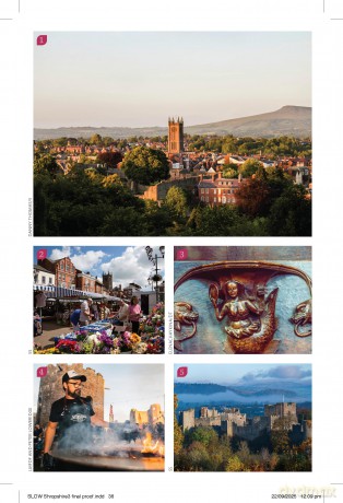 Bradt Shropshire (Slow Travel Guide): Local, characterful guides to Britain's special places (Bradt Slow Travel. Shropshire) - Marie Kreft [KSIĄŻKA]