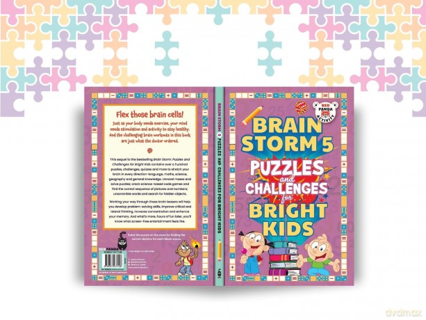 Brain Storm: Puzzles and Challenges for Smart Kids - Red Panda [KSIĄŻKA]