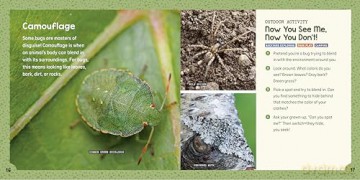Bug Explorers! a Bug Book for Kids: Outdoor Activities, Insect Facts, and Stickers - Emily Greenhalgh [KSIĄŻKA]