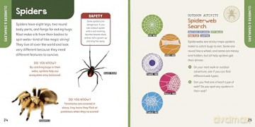 Bug Explorers! a Bug Book for Kids: Outdoor Activities, Insect Facts, and Stickers - Emily Greenhalgh [KSIĄŻKA]