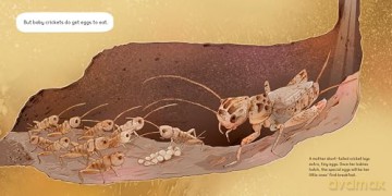Bugs Don't Hug: Six-Legged Parents and Their Kids - Heather L. Montgomery [KSIĄŻKA]