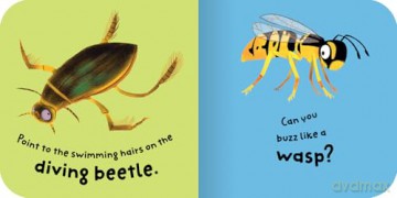 Bugs: Bright and bold board books, designed to stimulate interaction between 2-plus toddlers and their world. (Spot and Do) - Miles Kelly [KSIĄŻKA]
