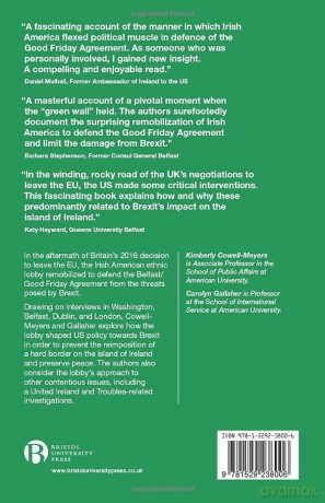 Building a Green Wall: Irish America's Resurgence Post-Brexit - Kimberly Cowell-Meyers [KSIĄŻKA]