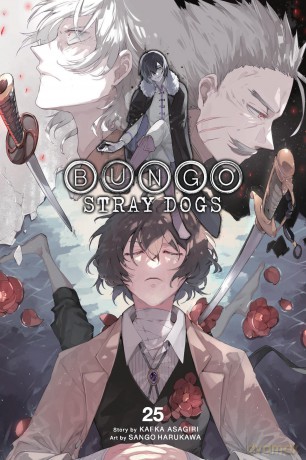 Bungo Stray Dogs, Vol. 25: Volume 25 - Kafka Asagiri [KOMIKS]