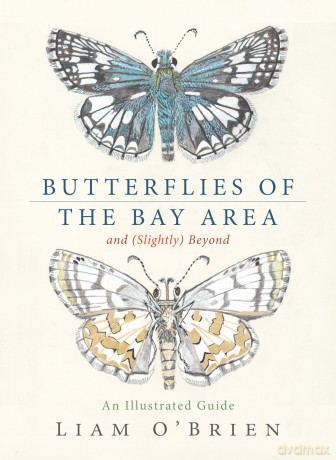 Butterflies of the Bay Area and (Slightly) Beyond: An Illustrated Guide - Liam O'Brien [KSIĄŻKA]