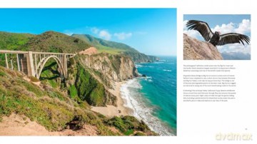 California: The Golden State - Jacqueline Hope Raynor [KSIĄŻKA]