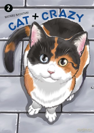 Cat + Crazy Volume 2 - Wataru Nadatani [KOMIKS]