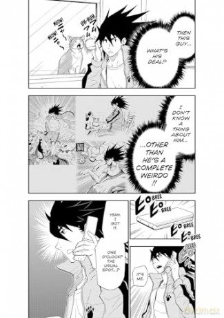 Cat + Crazy Volume 2 - Wataru Nadatani [KOMIKS]