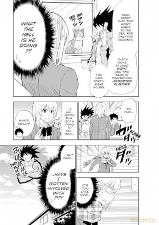 Cat + Crazy Volume 2 - Wataru Nadatani [KOMIKS]