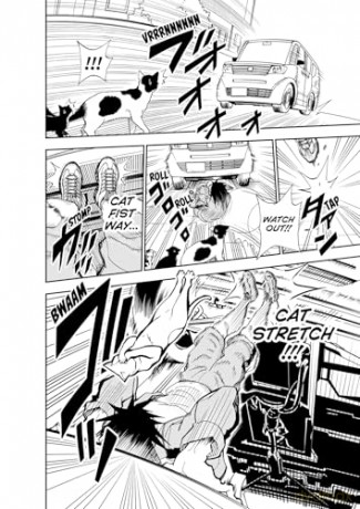 Cat + Crazy Volume 2 - Wataru Nadatani [KOMIKS]