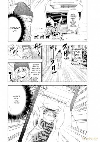 Cat + Crazy Volume 2 - Wataru Nadatani [KOMIKS]