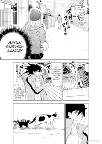 Cat + Crazy Volume 2 - Wataru Nadatani [KOMIKS]