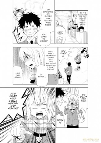 Cat + Crazy Volume 2 - Wataru Nadatani [KOMIKS]