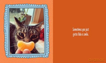 Cats Are Cheaper than Therapy: Life Advice from Feline Expurrts [KSIĄŻKA]