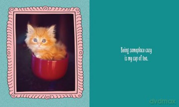 Cats Are Cheaper than Therapy: Life Advice from Feline Expurrts [KSIĄŻKA]